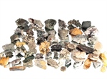 aus Sammlungsauflösung: 50+ Stück alpine Mineralien